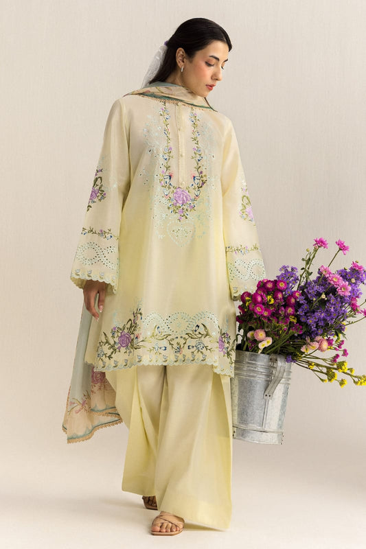 Premium 3-Piece Embroidered Dhanak Collection