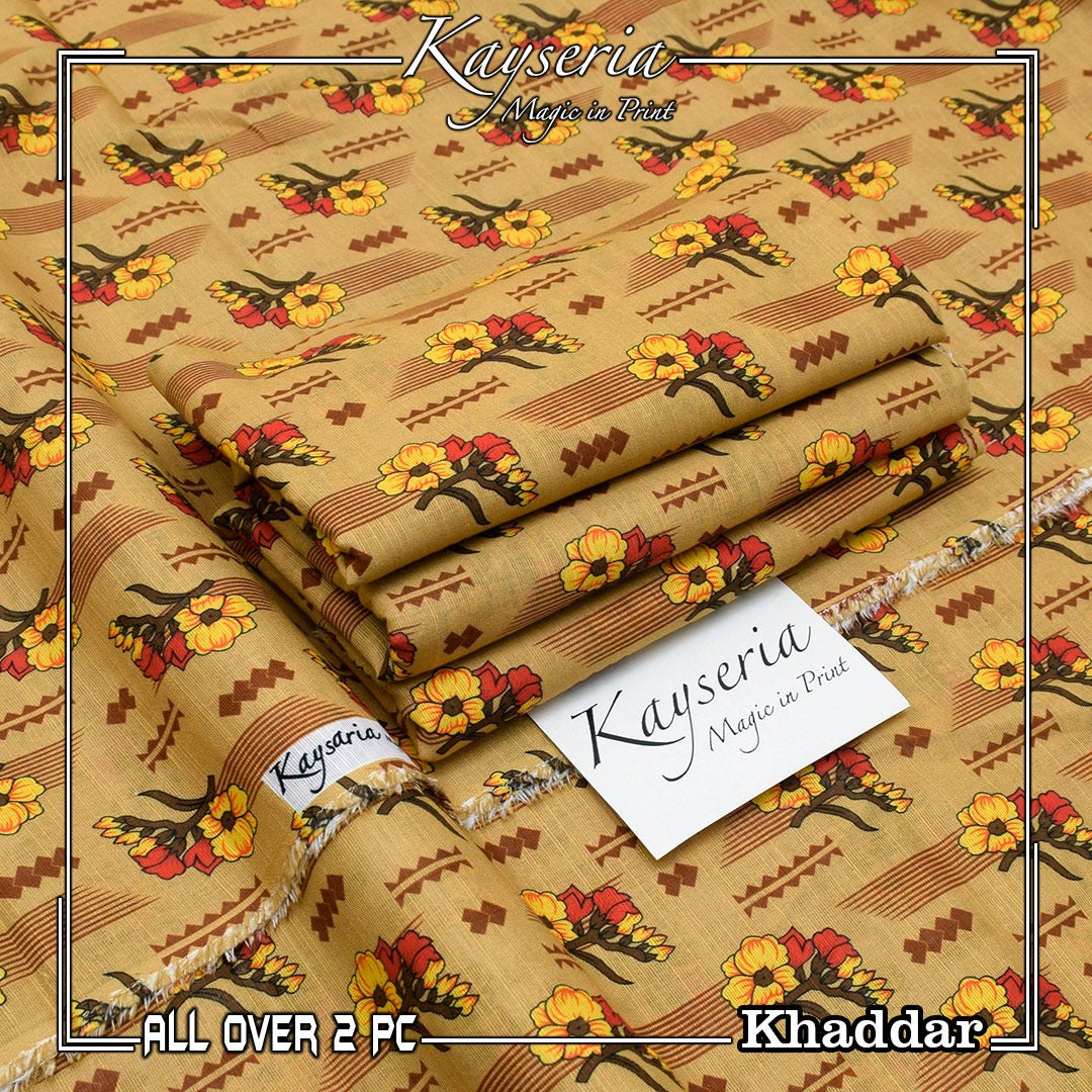 Ladies suit 2 piece khaddar