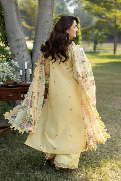Premium 3-Piece Embroidered Dhanak Collection